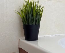 Artificial plant