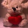 Teddy bear (soft toy) Image 2