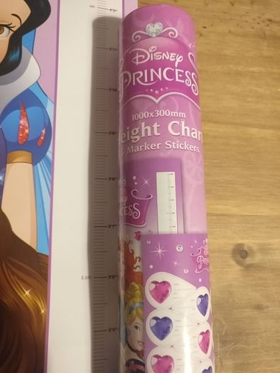Disney princess wall height chart