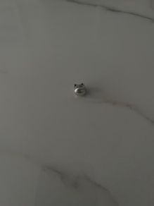 Pandora curious cat charm
