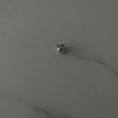 Pandora curious cat charm