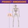 2 Packs 16" Posable Halloween Skeletons | Full Body Posable Joints Skeletons for Halloween Decoration, Graveyard De Image 4
