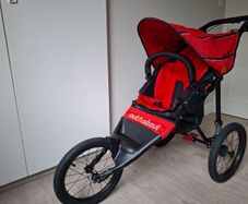 Running buggy