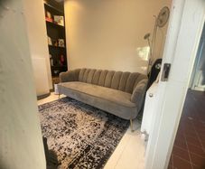Velvet grey couch
