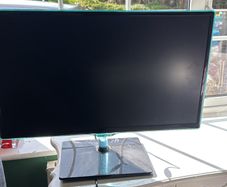 Dell 24 inch Monitor