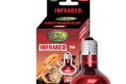 Reptile Nova Bulb For Terrariums 75W INFRARED