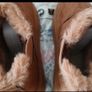 uggs Image 7