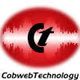 Cobweb Technology