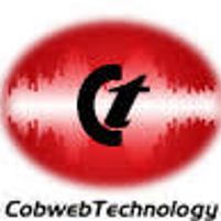 Cobweb Technology Jobs in Ireland