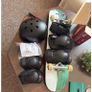 Skateboard, helmet and protective gear Image 4
