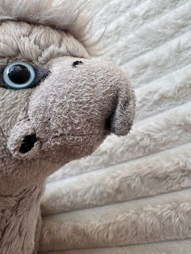 Buckbeak Hippogriff Plush Harry Potter Noble Collection Plush approx. 30 cm. Used Please see photos