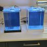 Fluval spec (White) Image 4