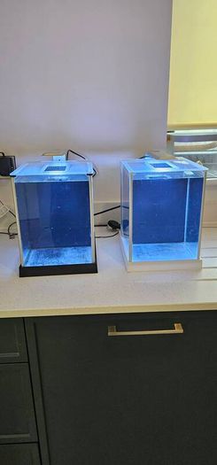 Fluval spec (White)