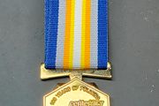 SAPS 100 Year Commemorative Medal 2013