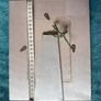 Acid Free Handmade mother-of-pearl shell photo frame Image 2