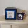 Teddy Collection - Peter Fagan's - Andy and Duke Image 4