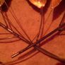copper wall hanging Image 2