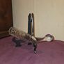 Vintage USSR Crystal Drinking Horn Image 5