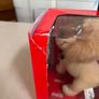 Coca Cola British Teddy Bears Collection Image 10