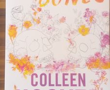 Heart Bones by Colleen Hoover