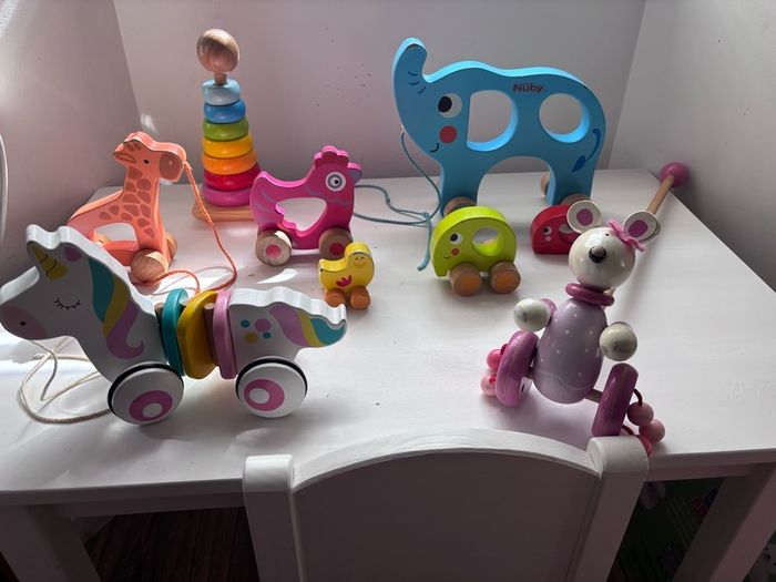 pull along educational wooden toys