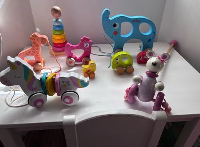 pull along educational wooden toys