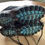 Mountain warehouse Ladies walking shoes Uk 7 Eu 40 Like new Image 2
