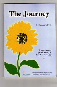 The Journey - Bernice Glavin