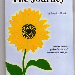 The Journey - Bernice Glavin