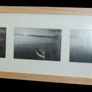 New Panoramic Collage Frame Image 4