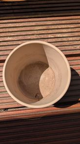 Flower Pot