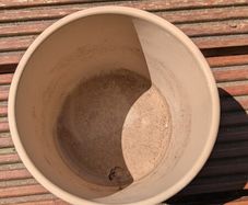 Flower Pot