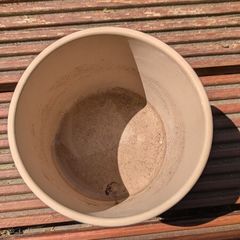 Flower Pot