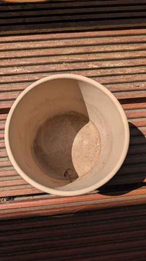 Flower Pot