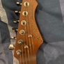 Aria Nashville pro ii telecaster Image 4
