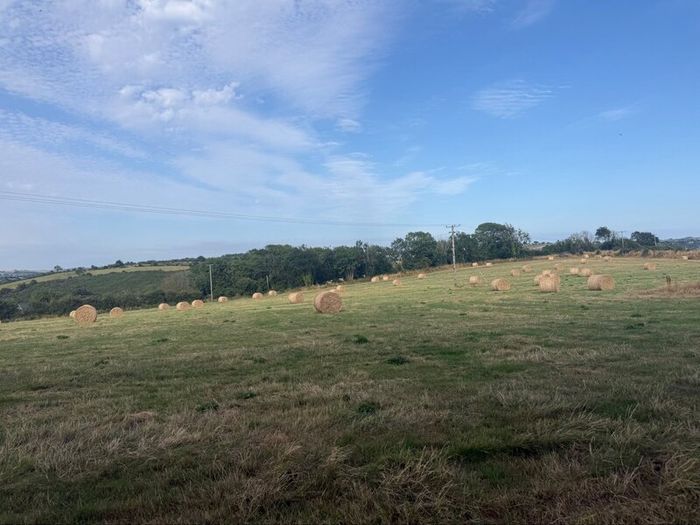 Quality Hay