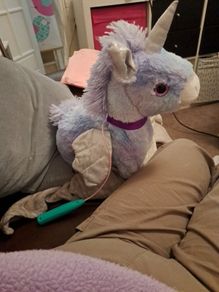 Walking Toy
