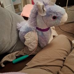 Walking Toy