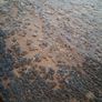 Large rug - blue, grey, cream Image 3