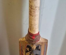 Stealth Cricket Bat