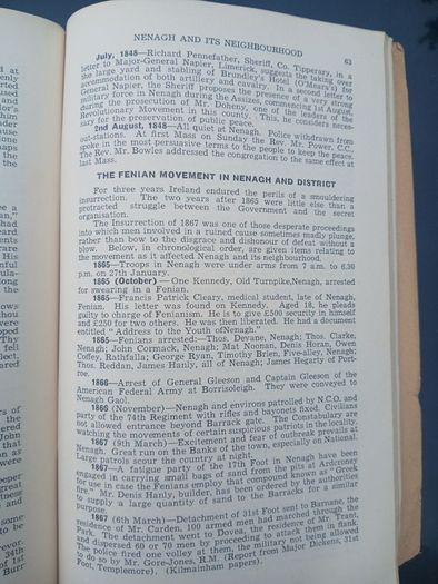 Nenagh and its Neighbourhood - E.H. Sheehan