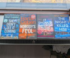 books, mystery fiction thriller