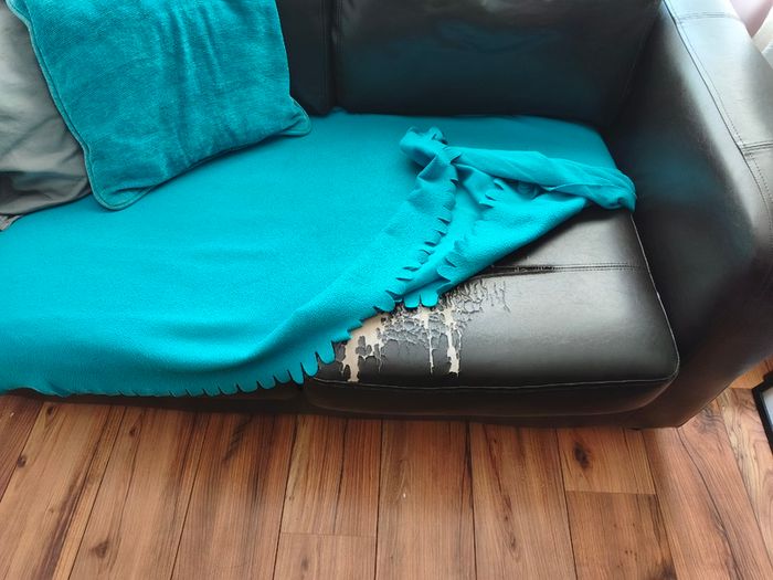 Free sofa