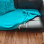 Free sofa Image 2