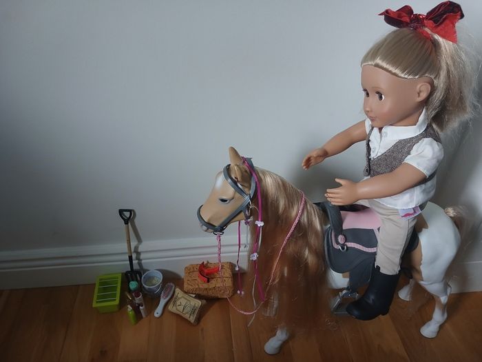 Toy