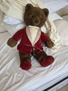 Teddy bear
