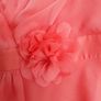 Plus size bridesmaid dress/Debs Dress Image 3