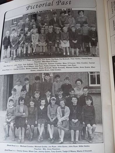 Grean/ 1992/ Pallasgrean Community Council