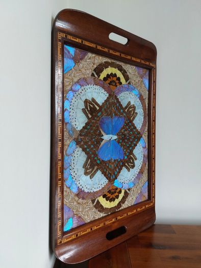 Vintage Brazilian Inlaid Iridescent Morpho Butterfly Wing Hardwood Tray