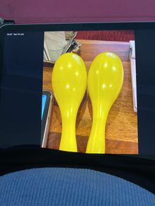 Set of Maracas